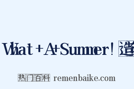 What+A+Summer!造句是什么意思的图片
